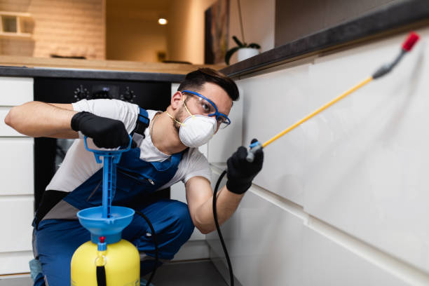 Pest Prevention Services in Ravenel, SC