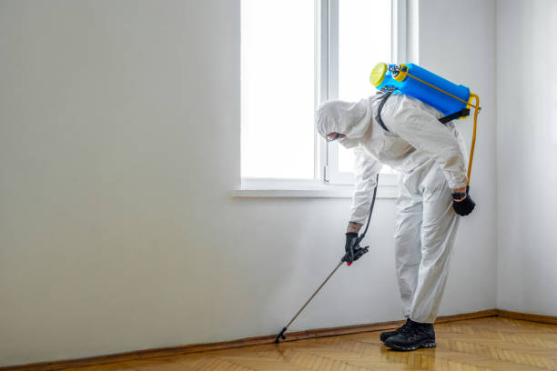 Best Exterminator Services  in Ravenel, SC
