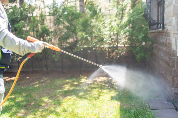 Best Emergency Pest Control  in Ravenel, SC