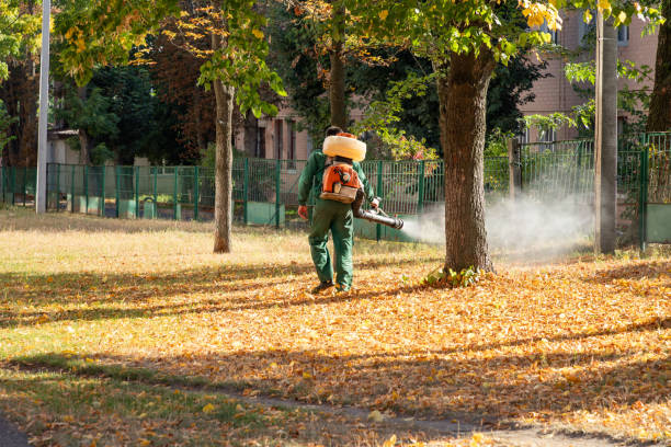 Pest Control Cost in Ravenel, SC