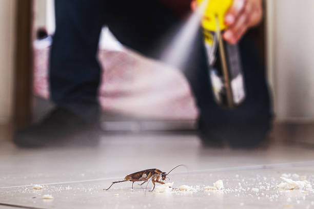 Pest Control for Restaurants in Ravenel, SC