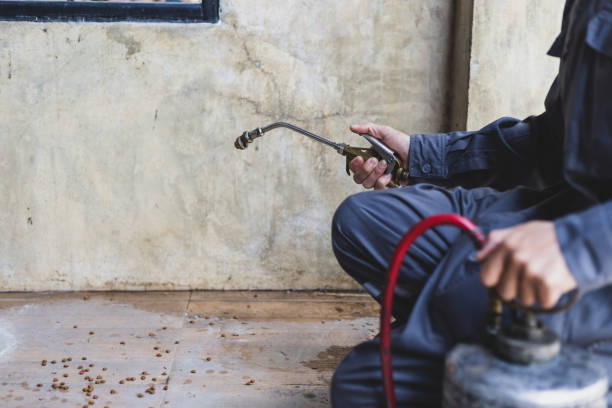 Best Best Pest Control Companies  in Ravenel, SC