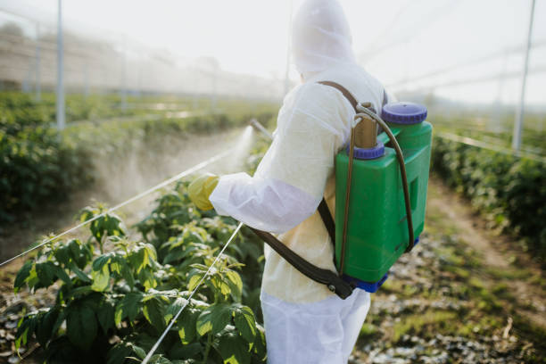 Best Pest Control Near Me  in Ravenel, SC